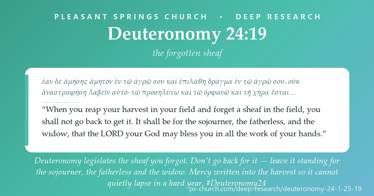 Share card &mdash; Deuteronomy legislates the sheaf you forgot. Don’t go back for it — leave it standing for the sojourner, the fatherless and the widow. Mercy written into the harvest so it cannot quietly lapse, and sealed every time with one sentence: you shall remember that you were a slave in the land of Egypt. #Deuteronomy24
