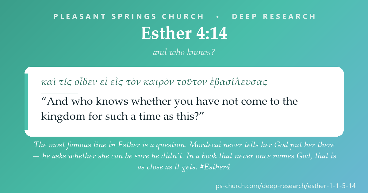 Share card &mdash; The most famous line in Esther is a question. Mordecai never tells her God put her there — he asks whether she can be sure he didn’t. In a book that never once names God, that is as close as it gets. #Esther4