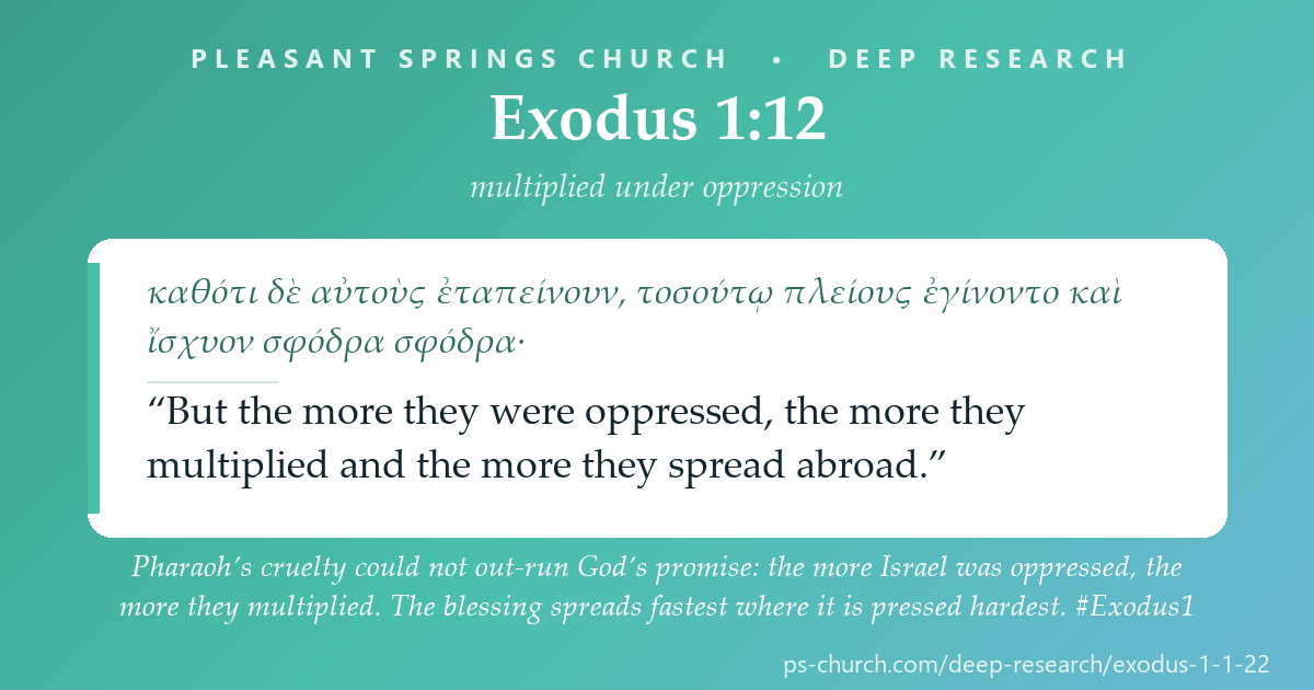 Share card &mdash; Pharaoh’s cruelty could not out-run God’s promise: ‘the more they were oppressed, the more they multiplied.’ The blessing spreads fastest where it is pressed hardest. #Exodus1