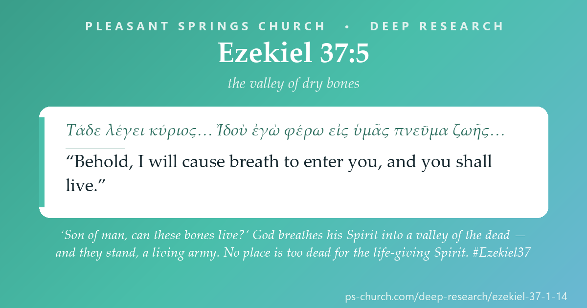 Share card &mdash; ‘Son of man, can these bones live?’ God breathes his Spirit into a valley of the dead — and they stand, a living army. No place is too dead for the life-giving Spirit. #Ezekiel37