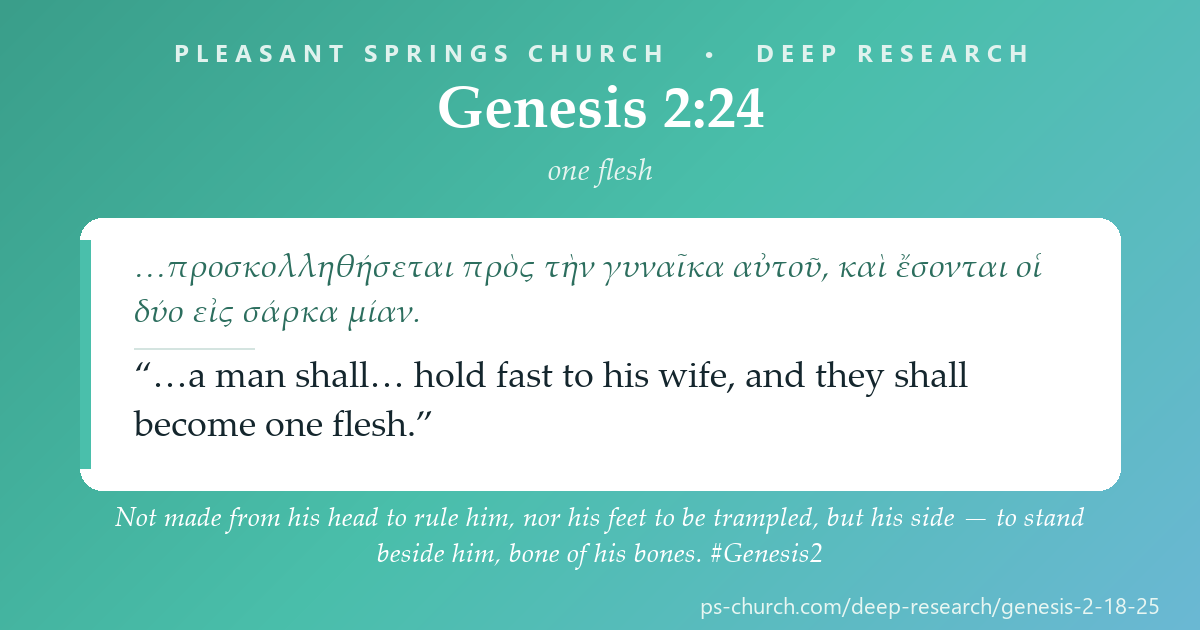 Share card &mdash; Not made from his head to rule him, nor his feet to be trampled, but his side — to stand beside him, bone of his bones. #Genesis2