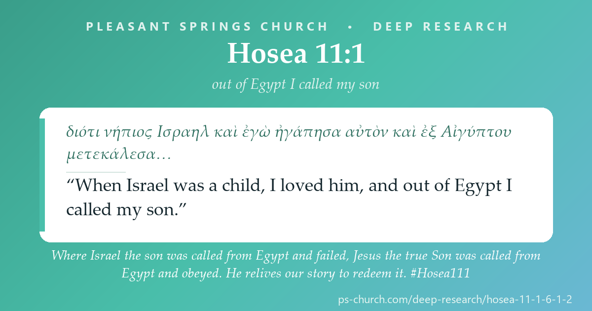 Share card &mdash; Where Israel the son was called from Egypt and failed, Jesus the true Son was called from Egypt and obeyed. He relives our story to redeem it. #Hosea111