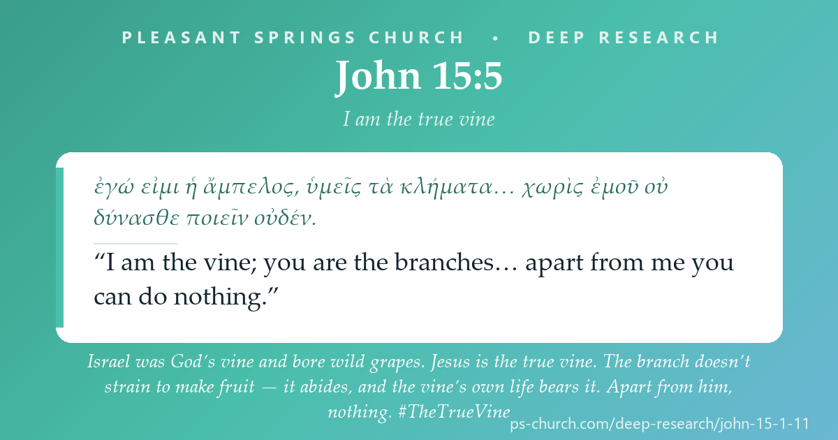 Share card &mdash; Israel was God’s vine and bore wild grapes. Jesus is the true vine. The branch doesn’t strain to make fruit — it abides, and the vine’s own life bears it. Apart from him, nothing. #TheTrueVine