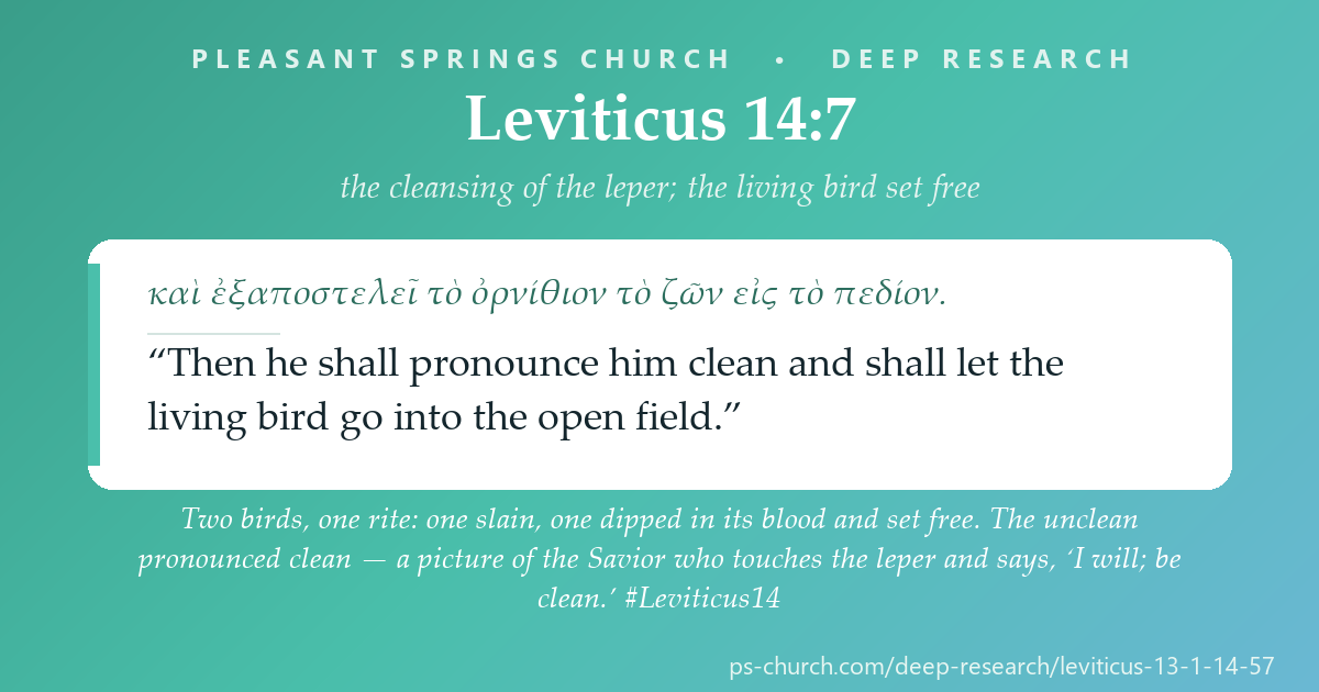 Share card &mdash; Two birds, one rite: one slain, one dipped in its blood and set free. The unclean pronounced clean — a picture of the Savior who touches the leper and says, ‘I will; be clean.’ #Leviticus14