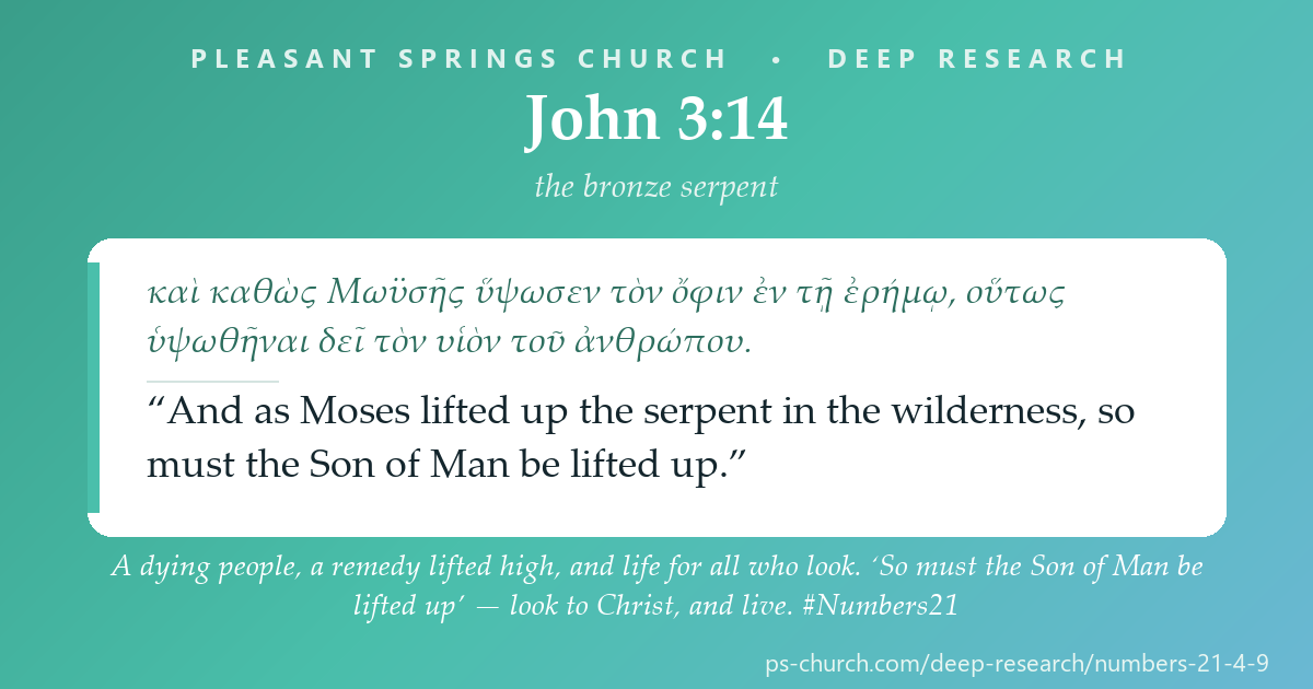 Share card &mdash; A dying people, a remedy lifted high, and life for all who look. ‘So must the Son of Man be lifted up’ — look to Christ, and live. #Numbers21