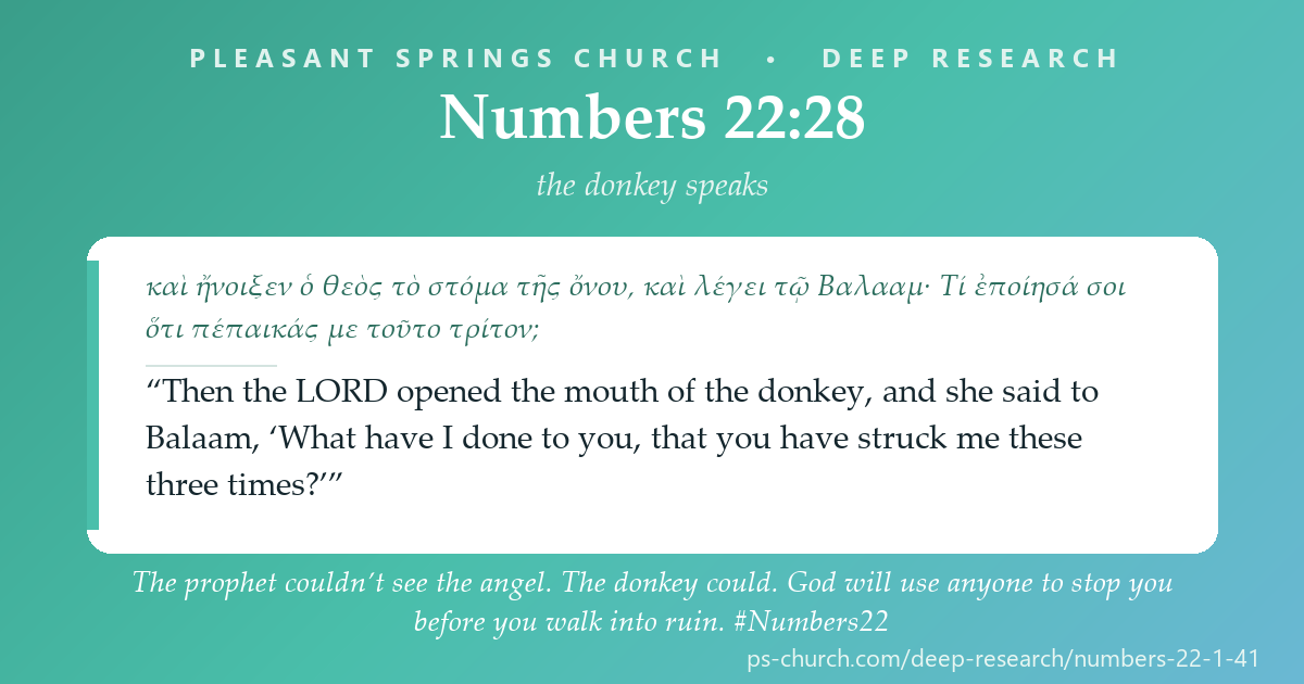 Share card &mdash; Balak paid for a curse. God had already spoken a blessing — and no fee, no altar and no seer can reverse it. “You shall not curse the people, for they are blessed.” #Numbers22
