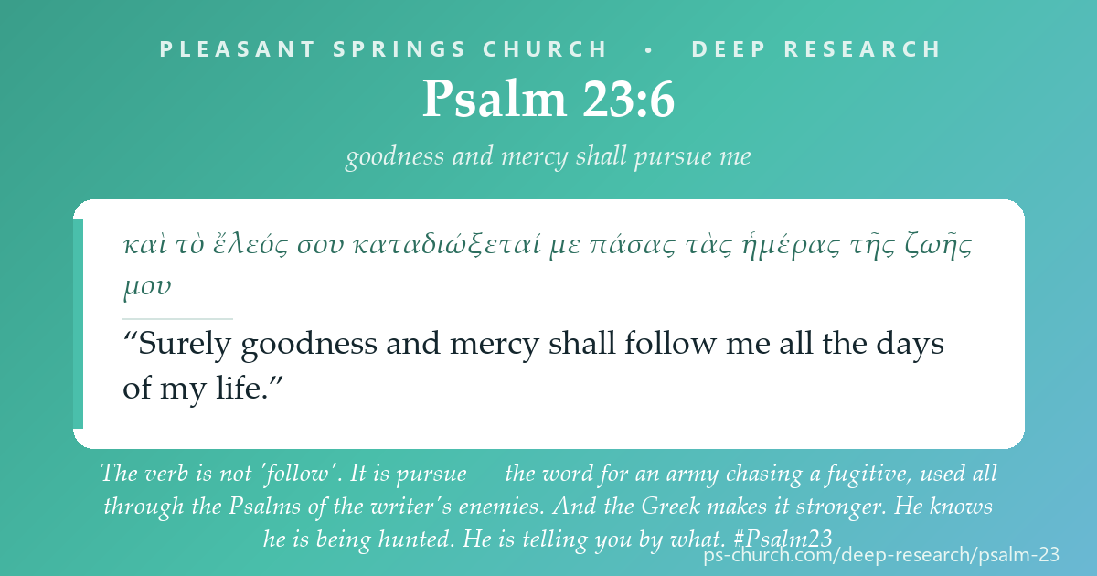 Share card &mdash; The verb is not 'follow'. It is pursue — the word for an army chasing a fugitive, used all through the Psalms of the writer's enemies. And the Greek makes it stronger. He knows he is being hunted. He is telling you by what. #Psalm23