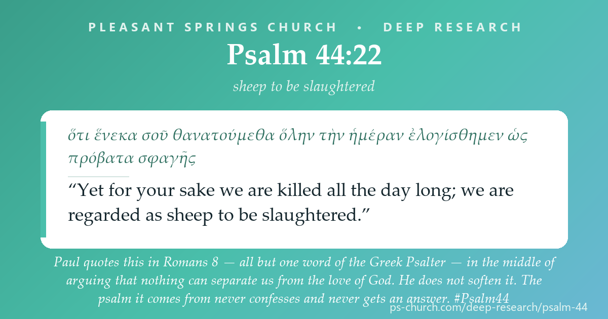 Share card &mdash; Paul quotes this in Romans 8 — all but one word of the Greek Psalter — in the middle of arguing that nothing can separate us from the love of God. He does not soften it. The psalm it comes from never confesses and never gets an answer. #Psalm44
