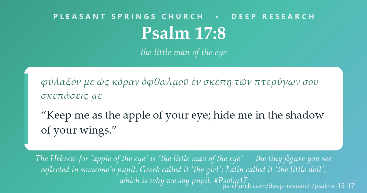 Share card &mdash; The Hebrew for 'apple of the eye' is 'the little man of the eye' — the tiny figure you see reflected in someone's pupil. Greek called it 'the girl'; Latin called it 'the little doll', which is why we say pupil. #Psalm17