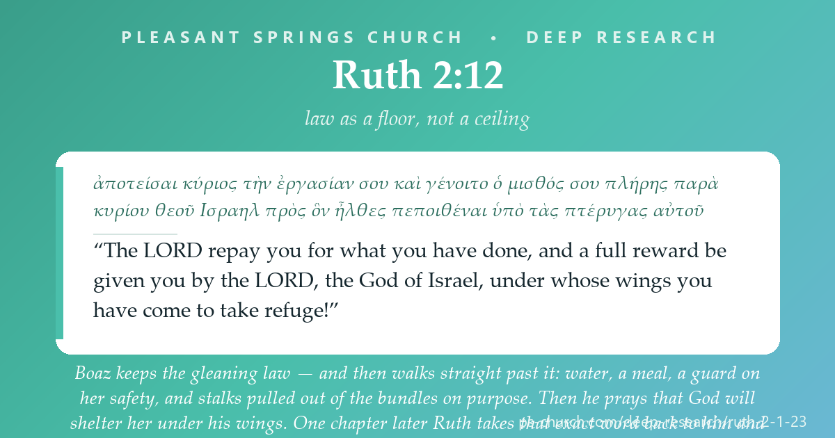 Share card &mdash; Boaz keeps the gleaning law — and then walks straight past it: water, a meal, a guard on her safety, and stalks pulled out of the bundles on purpose. Then he prays that God will shelter her under his wings. One chapter later Ruth takes that exact word back to him and asks him to be the answer to his own prayer. #Ruth2